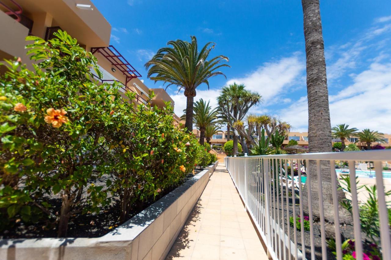 Casanikolai Lägenhet Corralejo Exteriör bild